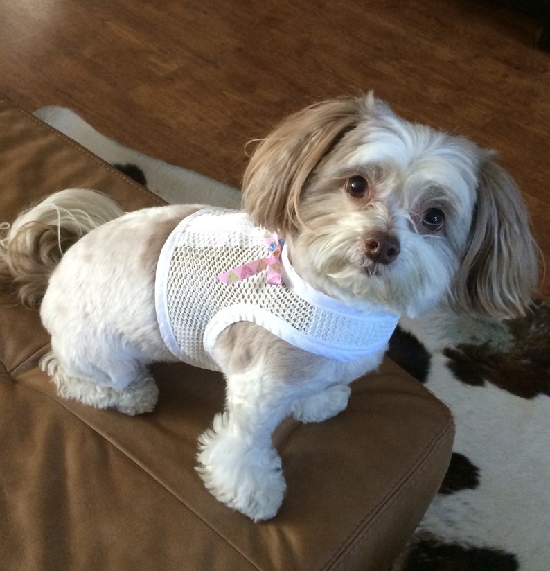 Small Dog Harness Breathable White Mesh Made in USA Dog Etsy