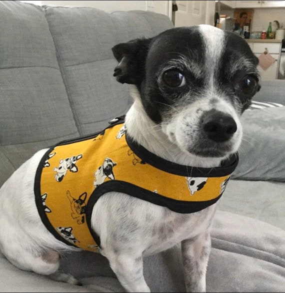 dog harnesses for sale