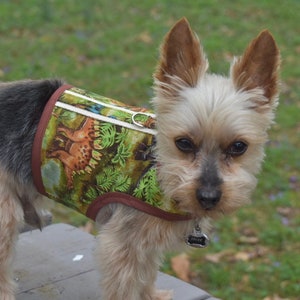 Dinosaur Small Dog Harness Made in USA, dog harnesses, pet clothing