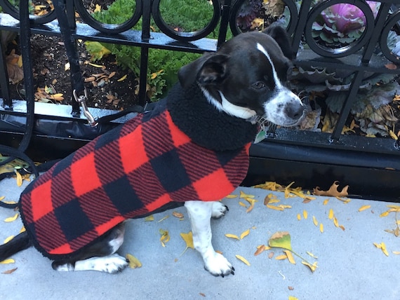 Buffalo check dog sweater sales