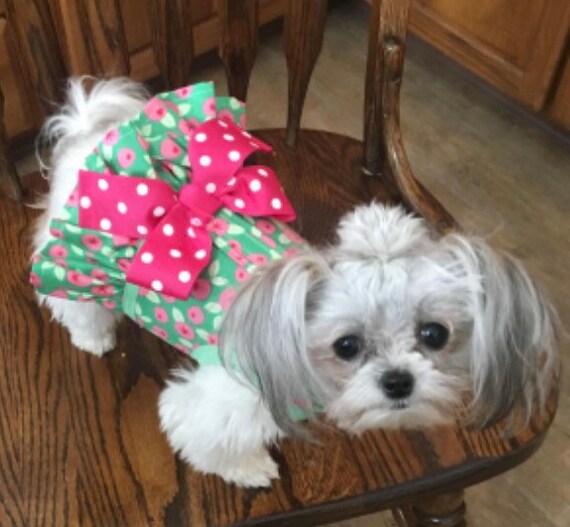 Preppy Pink Small Dog Ruffle Harness Made in USA Dog Harnesses Pet Clothing Etsy UK