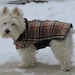 CustomDogJacket