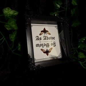 May include: Black framed art print with the text "As Above, So Below" in gothic script, featuring insect illustrations. The frame has ornate corner detailing, and the background is dark with green foliage.