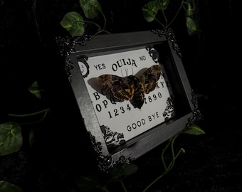 Caja de sombras con forma de polilla de calavera/tablero de ouija enmarcado, decoración gótica