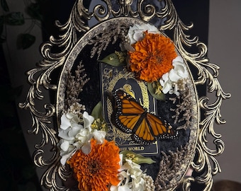 Real Monarch Butterfly in Vintage Bubble Glass Frame | Dried Florals & The World Tarot Card | Black Velvet Background