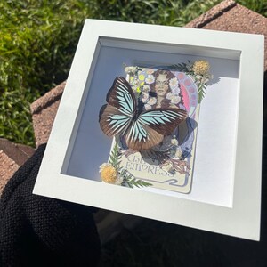 Mariposa errante enmarcada real Pareronia tritaea con la carta del Tarot de la Emperatriz / Decoración de caja de sombras / Arte de taxidermia / Regalo único /