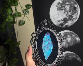Morpho Adonis Flügel im Mini Vintage Glasrahmen | Schwarzer Samt Hintergrund