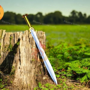 May include: A silver sword with a gold handle is resting on a tree stump in a grassy area. The sword has a sharp point and a long, straight blade.