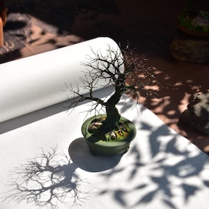 Winter Bonsai in Metal Wire – Winter Tree – Aluminum Tree of Life Sculpture – Minimalist Zen Decoration, Customizable Sculpture