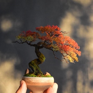 Handmade Bonsai in Aluminum Wire – Elegant Maple Model – Unique and Personalized Sculpture, Ideal for a Zen and Original Gift