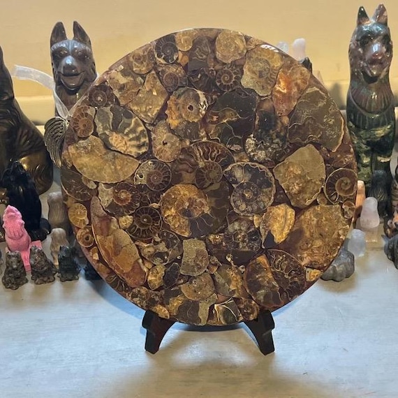 大型アンモナイト化石クリスタルディスプレイプレート＆スタンド先史