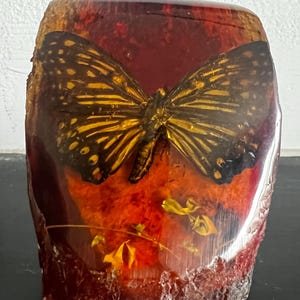 Puede incluir: Un bloque de resina pulido y translúcido de color ámbar que contiene una mariposa preservada con alas de color marrón oscuro y dorado. La base del bloque presenta un acabado rugoso y texturizado similar a la corteza, con pequeñas flores amarillas.