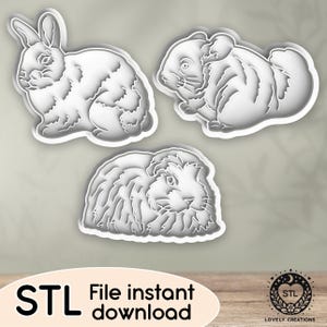Rodent Rabbit Chinchilla Guinea Pig Animal Home - STL file for Cookie Cutter, Clay Cutter, Bakery, Fondant, Stamp 3D Printing