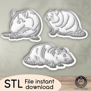 Puede incluir: Tres cortadores de galletas blancos con forma de rata en diferentes poses. Los cortadores están detallados con líneas para mostrar el pelaje y las características. El texto "STL File instant download" está en la parte inferior.