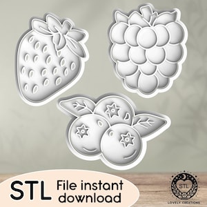 May include: Three 3D printed cookie cutters in the shape of a strawberry, a blueberry, and a raspberry. The cutters are white and have a smooth, glossy finish. STL File instant download.