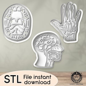 May include: Three 3D printed anatomical STL files for a mouth, hand, and head. The files are for instant download.