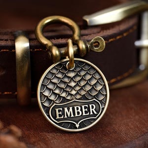 May include: A dark brown leather collar featuring a circular brass tag attached with a shackle. The tag displays a raised scale pattern and the name EMBER in capital letters. The collar includes a brass buckle and a matching metal loop.