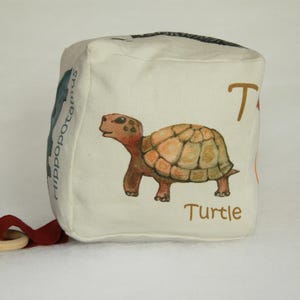 Può includere: Un cubo di tessuto bianco con un'illustrazione di tartaruga marrone e la lettera "T" e la parola "Turtle" stampate su di esso. Il cubo ha un anello di tessuto rosso e bianco attaccato ad esso.