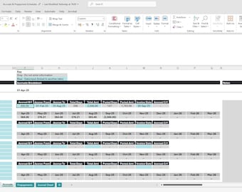 May include: A screenshot of a spreadsheet in Microsoft Excel. The spreadsheet is labeled "Accounts & Engagement Schedule" and includes columns for expenditure details, accruals, and a 12-month schedule. The key indicates which cells to avoid entering data.