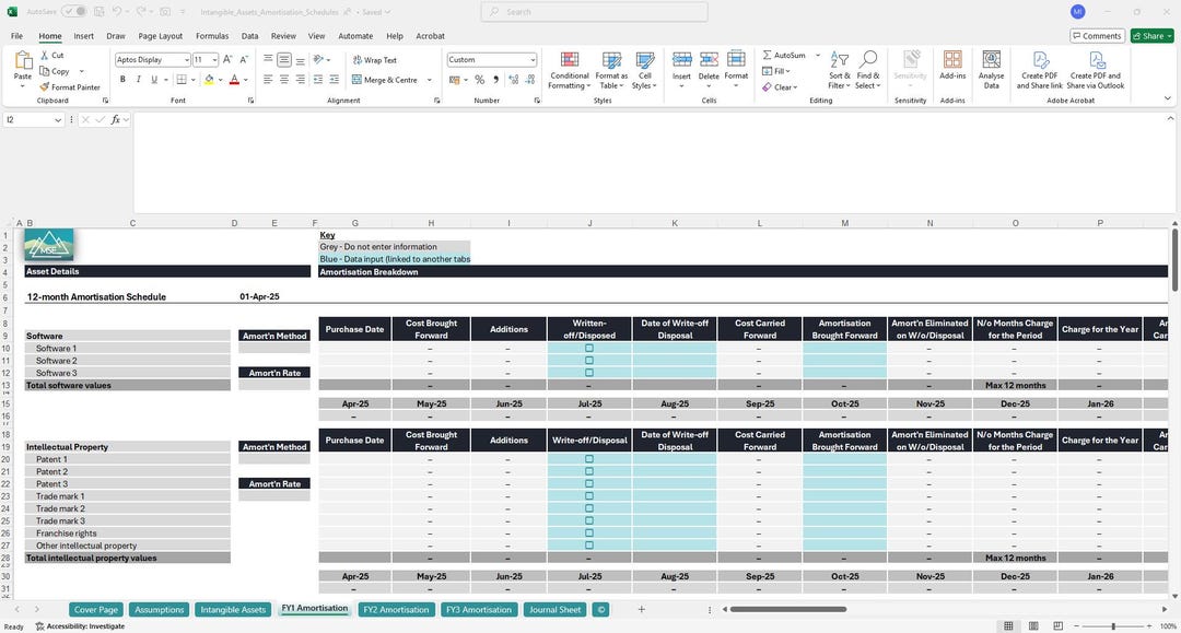 Intangible Asset Register & 3-year Amortisation Schedules - Etsy
