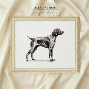May include: Framed art print featuring a detailed black and white illustration of a German Shorthaired Pointer dog. The artwork is set in a gold-toned frame and includes the text "ALEX ART HUB" and "Bring the gallery home".