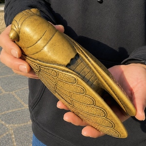 May include: A brass-colored cicada sculpture featuring detailed engraved wing patterns and a smooth, rounded head. The insect-shaped object has a metallic finish with visible segmented lines along the body and textured wings, held in both hands.