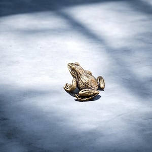 Solid Brass Frog Tea Pet - Pure Copper Animal Figurine, Lucky Feng Shui Tea Ceremony Ornament, Zen Desk Decor, Handmade Brass Frog Statue