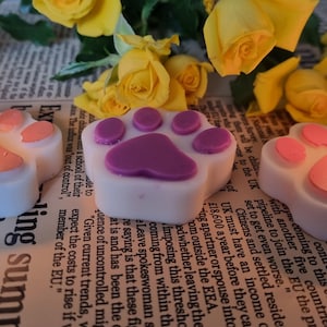 Dog Paw Candle - A Tribute to Our Furry Friends”
