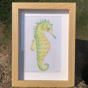 Może przedstawiać: Ramowany obraz akwarelowy przedstawiający żółto-zielonego konika morskiego o długim pysku. Obraz jest podpisany "AHS" i zatytułowany "Długonosy konik morski".