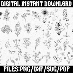 Pacchetto Svg Wildflower, Svg Flower Meadow, Svg Flower Border, Bouquet di fiori minimalista, Clipart Wildflower, Svg Flower Sketch