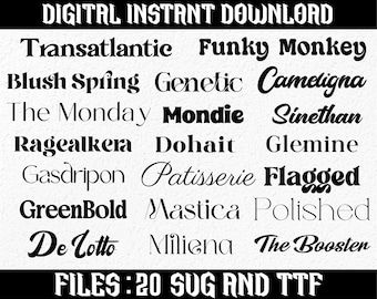 Vintage Retro Font Bundle, Font Bundle, Cricut Font Bundle, Retro Font, Groovy Font, Farmhouse Font, Boho Font, Fonts For Cricut