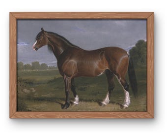 Vintage Clydesdale Horse Print | Equestrian Stallion Digital Art (Digital Download)