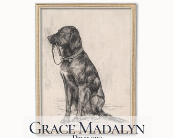 Vintage Dog Print: 19th Century Ink Drawing (Digital Download)