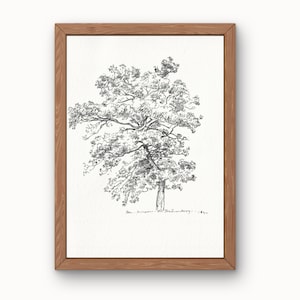 Black and White Tree Sketch Digital Print | Minimalist Pen and Ink Nature Art | Monochrome Botanical Wall Décor | Instant Download