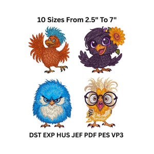 Diseño de bordado de pájaros caprichosos: 4 adorables personajes de dibujos animados, 10 tamaños, descarga instantánea, archivos de máquina DST PES PDF VP3 para niños y regalos.