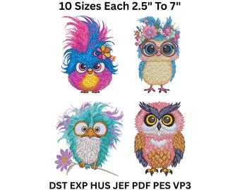 Baby Owl Embroidery Designs - Colorful Bird Machine Files Bundle - 10 Sizes - Digital Download