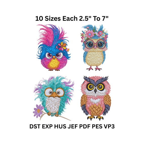 Baby Owl Embroidery Designs - Colorful Bird Machine Files Bundle - 10 Sizes - Digital Download