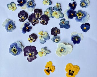 20 Small Pressed dried pansies | Random assortment | Real dried flowers | For resin, crafting, candle making, scrapbooking, floral art
