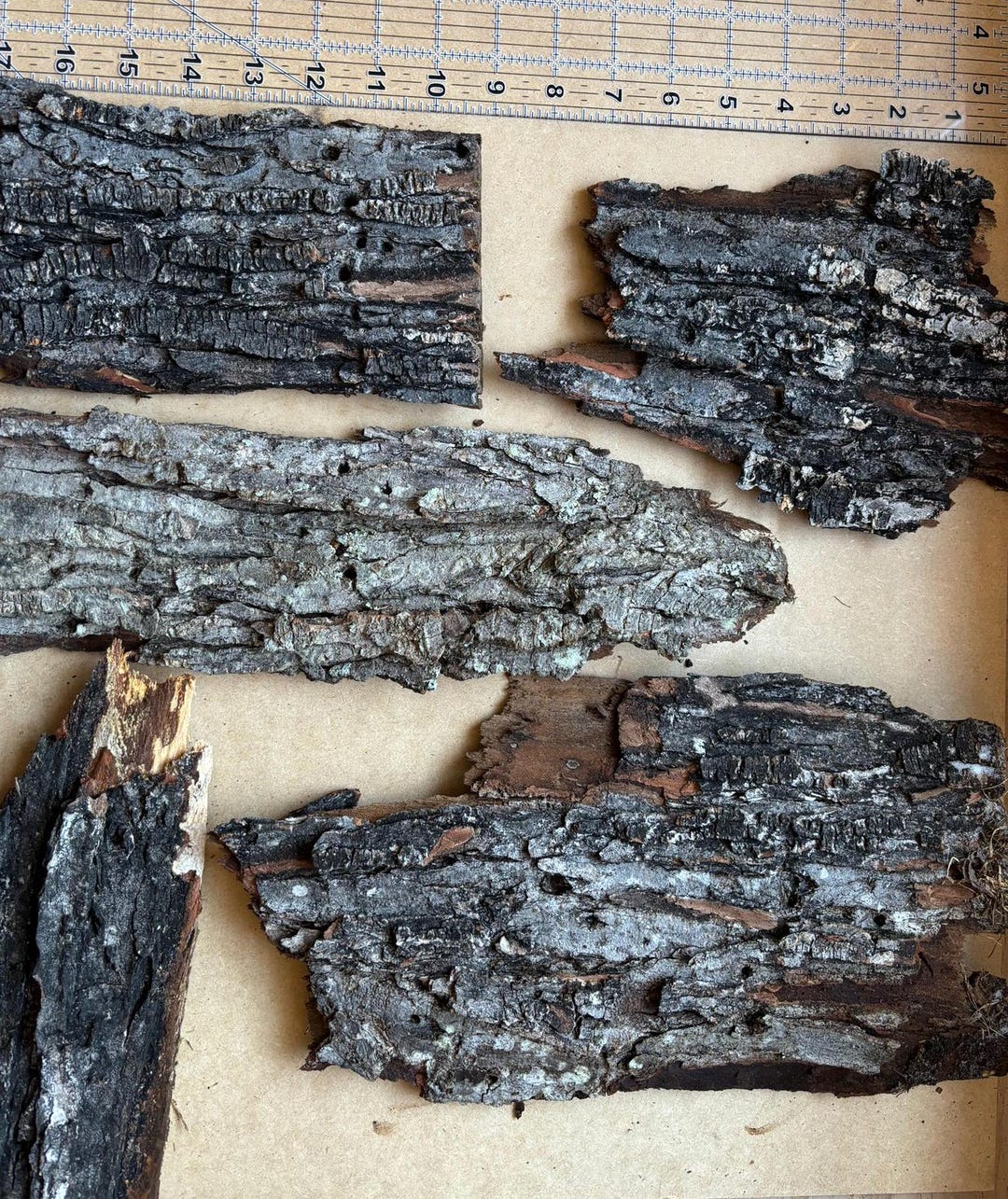 Assorted Large Tree Bark Sheets | Natural Bark for Fairy Houses ...