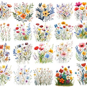Puede incluir: Una colecci&oacute;n de ilustraciones en acuarela de varios ramos de flores silvestres. Los ramos presentan una variedad de flores coloridas, incluyendo amapolas rojas, margaritas amarillas y acianos azules, con follaje verde. Los arreglos est&aacute;n sobre un fondo blanco.