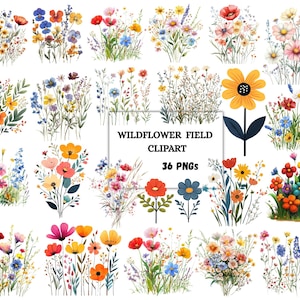 Vildblomma PNG-paket, vildblomma Clipart, boho vildblommor PNG, vildblomma naturbilder, blommor PNG, sublimeringsdesign, omedelbar nedladdning
