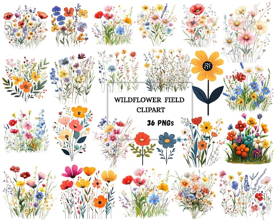 Wildflower Png Bundle, Wildflower Clipart, Boho Wildflowers Png, Wildflower Nature Images, Flowers Png, Sublimation Design, Instant Download