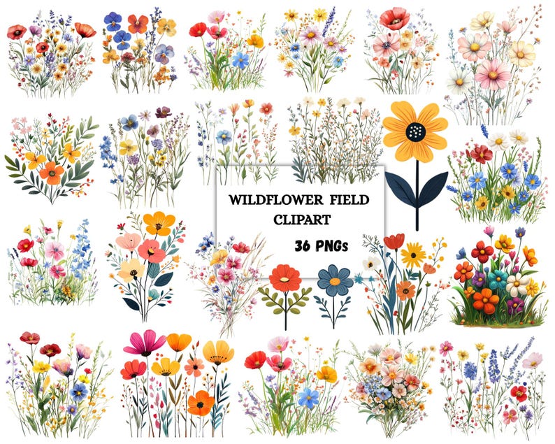 Puede incluir: Una colecci&oacute;n de 36 im&aacute;genes PNG de im&aacute;genes predise&ntilde;adas de flores silvestres en acuarela. Las im&aacute;genes presentan varias flores silvestres coloridas en diferentes arreglos, incluyendo ramos y flores individuales. El texto "WILDFLOWER FIELD CLIPART" y "36 PNGs" est&aacute; presente.