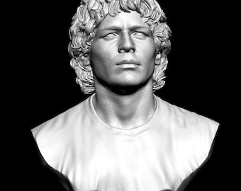 Borstbeeld van Diego Armando Maradona, beroemde voetballer