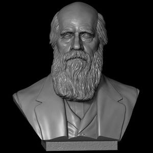 Può includere: Busto grigio di un uomo con barba e capelli lunghi e folti, che indossa una giacca e un gilet. La scultura è ambientata su uno sfondo nero.