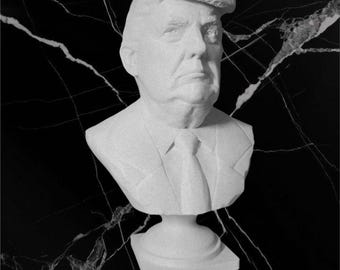 Buste van Donald Trump, Amerikaans president-sculptuur