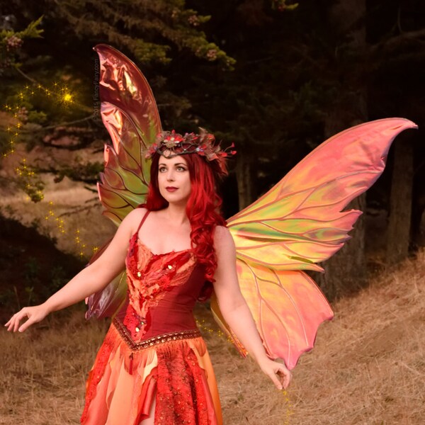 Giant Clarion Painted Fire Fairy Wings