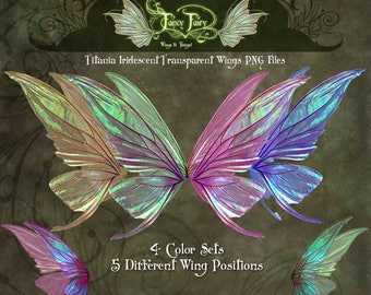 fairy wings