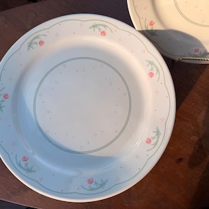 Könnte beinhalten: Weiße Keramik-Essteller mit hellblauem Rand und floralem Design. Die Teller haben einen gewellten Rand und ein Muster aus kleinen rosa Blüten und grünen Blättern. Ein zweiter Teller ist teilweise sichtbar.