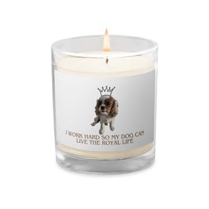 Soy candle &#39;&#39;Work hard&#39;&#39; // Candle, Cavalier King Charles, dog, portrait, sweet dog, aesthetic, candle